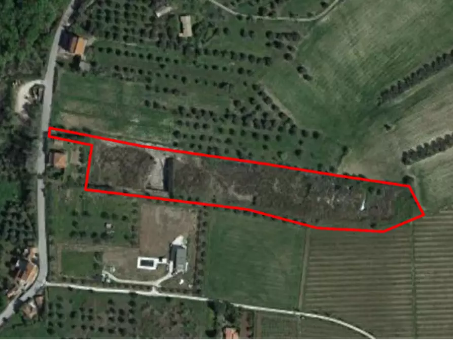 Immagine 1 di Terreno agricolo in vendita  in via Torre Menè a Ortona