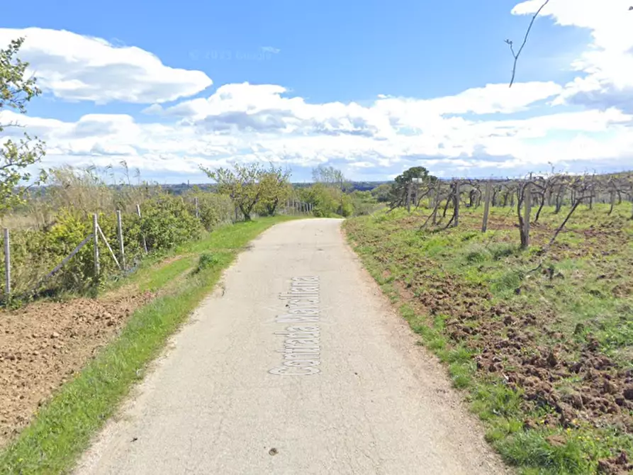 Immagine 3 di Terreno agricolo in vendita  in Contrada Marciliana a Villamagna