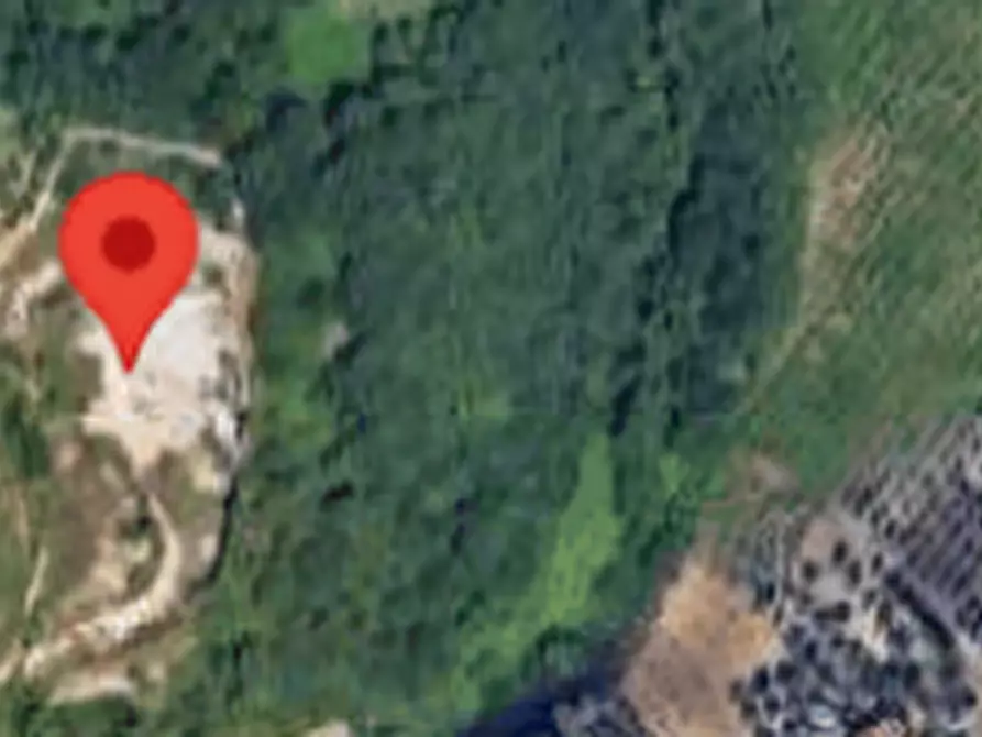 Immagine 6 di Terreno agricolo in vendita  in Contrada Marciliana a Villamagna