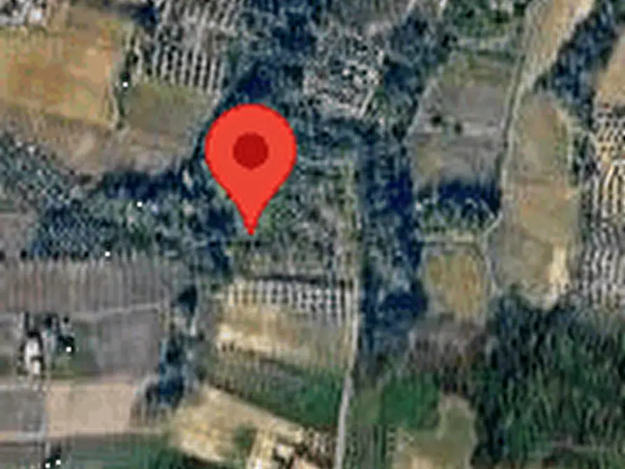 Immagine 3 di Terreno agricolo in vendita  in Località Rossiponti a Ari