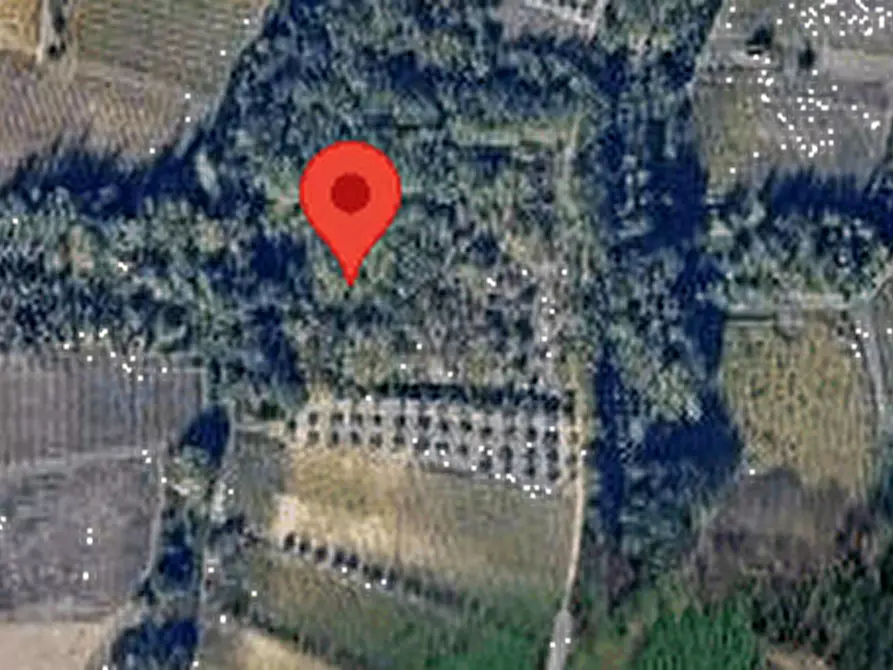 Immagine 4 di Terreno agricolo in vendita  in Località Rossiponti a Ari