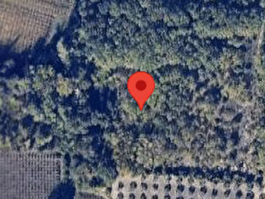 Immagine 5 di Terreno agricolo in vendita  in Località Rossiponti a Ari