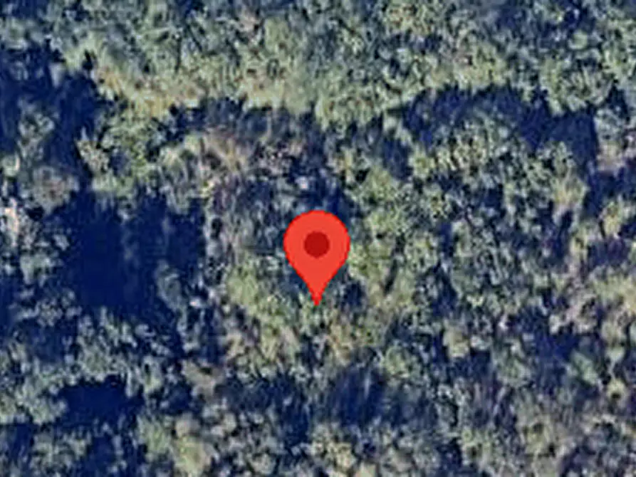 Immagine 6 di Terreno agricolo in vendita  in Località Rossiponti a Ari