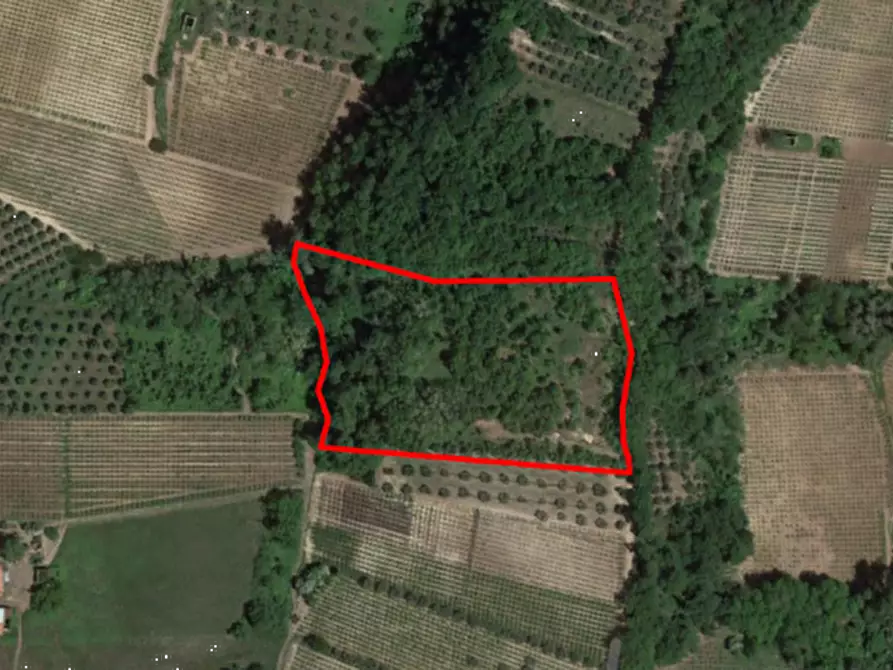 Immagine 1 di Terreno agricolo in vendita  in Località Rossiponti a Ari