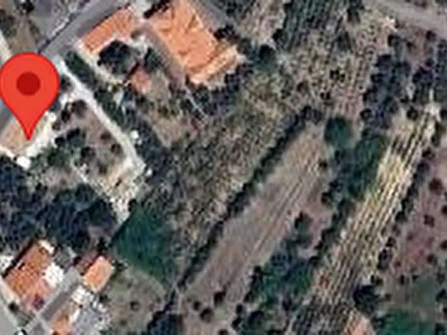 Immagine 4 di Casa indipendente in vendita  in Contrada Mortella a Poggiofiorito