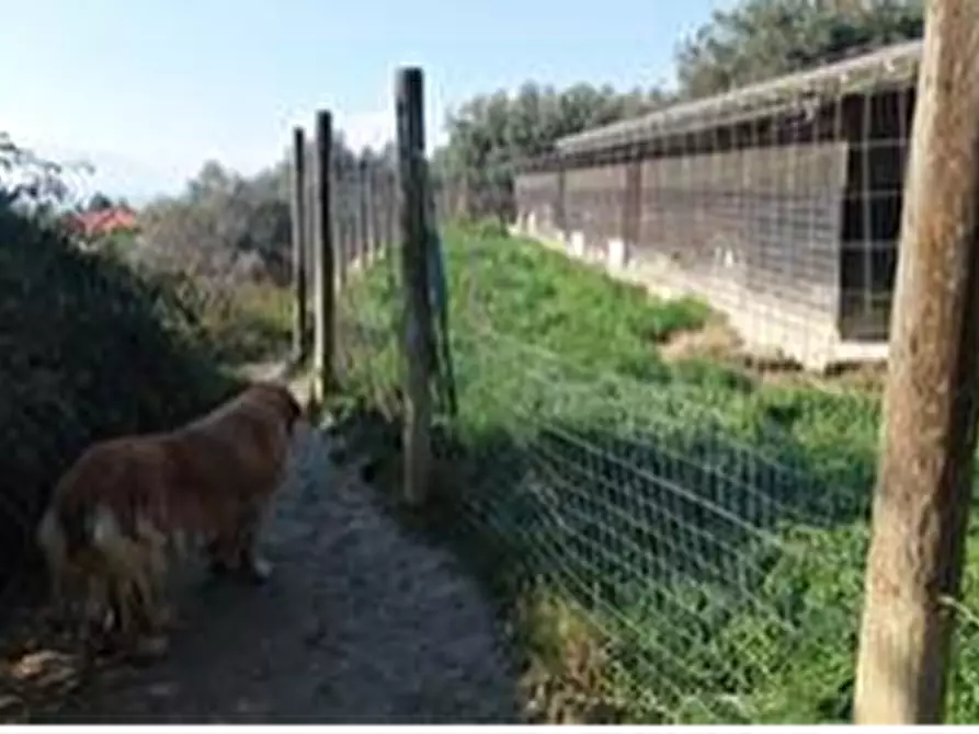 Immagine 12 di Rustico / casale in vendita  in Strada di Fosso Paradiso a Chieti