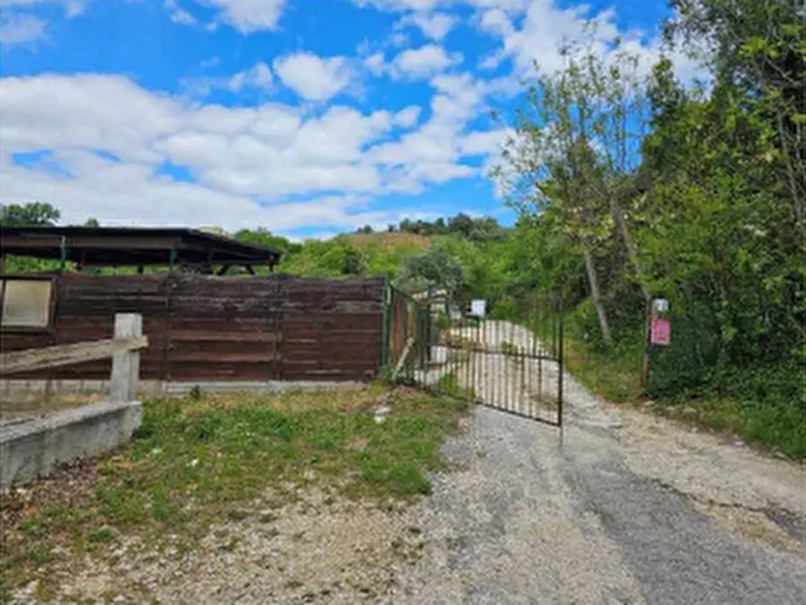 Immagine 3 di Terreno agricolo in vendita  in Località San Salvatore a Chieti