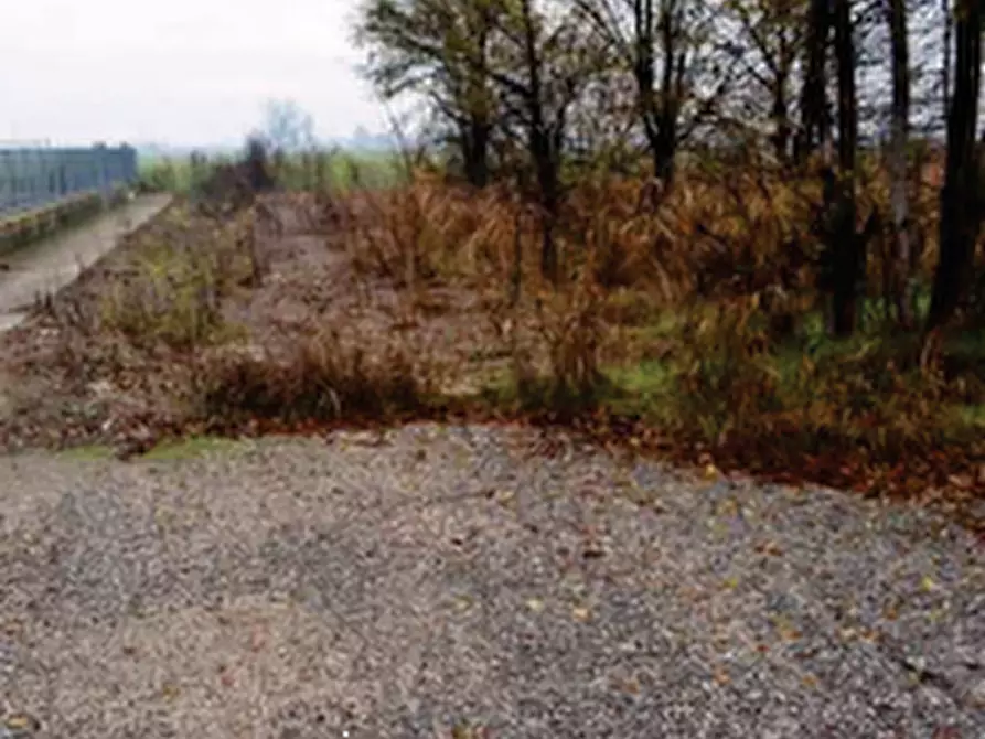 Immagine 4 di Terreno edificabile in vendita  in Via Don Romolo Tressino a Bonavigo