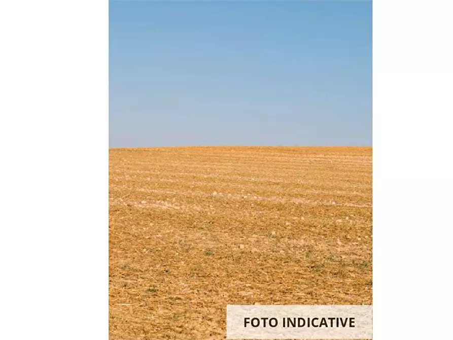 Immagine 14 di Terreno edificabile in vendita  in Via Don Romolo Tressino a Bonavigo