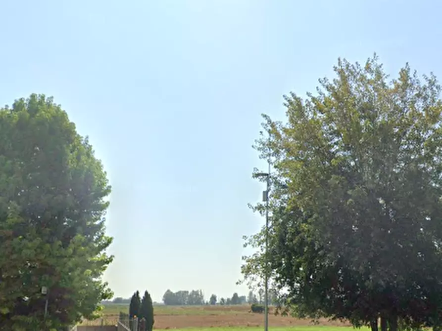 Immagine 4 di Terreno edificabile in vendita  in Via Ober Hilbersheim a Bonavigo