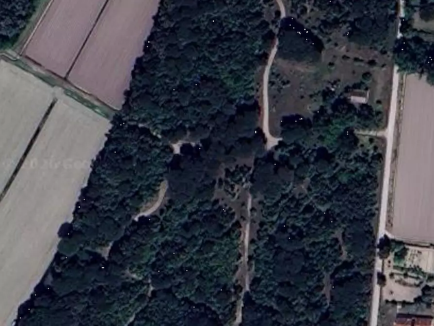 Immagine 10 di Terreno agricolo in vendita  in Via Pegorina a Chioggia