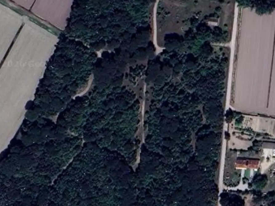 Immagine 12 di Terreno agricolo in vendita  in Via Pegorina a Chioggia