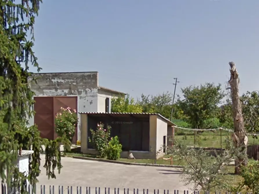 Immagine 15 di Stabile in vendita  in Via Vela Soranzo a Villa Bartolomea