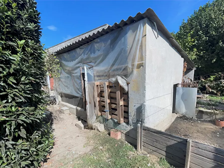 Immagine 18 di Stabile in vendita  in Via Vela Soranzo a Villa Bartolomea