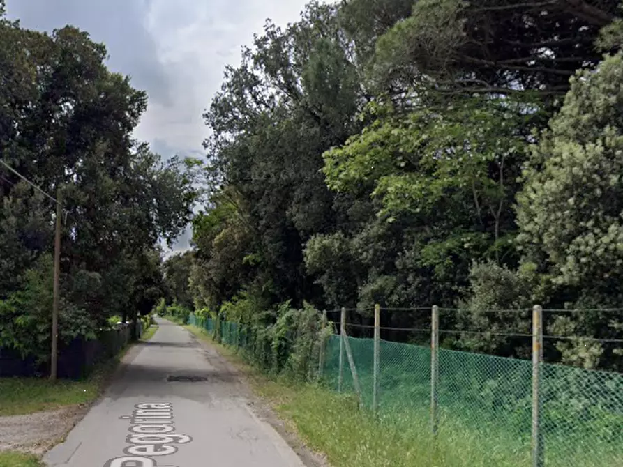 Immagine 22 di Appartamento in vendita  in Via Pegorina a Chioggia