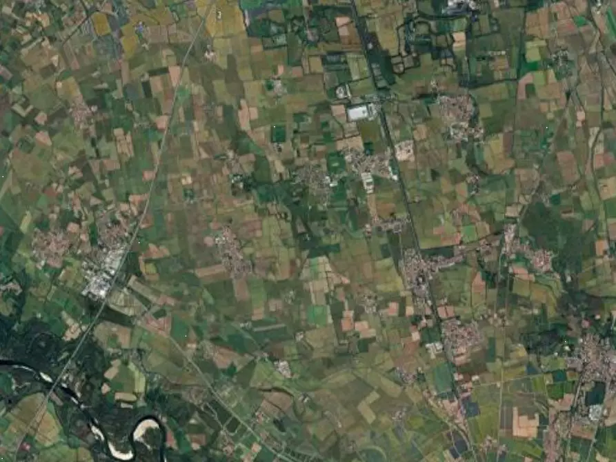 Immagine 3 di Terreno agricolo in vendita  in Via Vellezzo Bellini  a Vellezzo Bellini