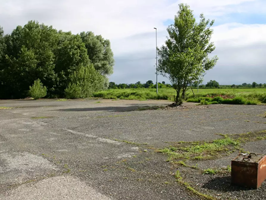 Immagine 2 di Terreno agricolo in vendita  in Via Roncaglie a Roncaro
