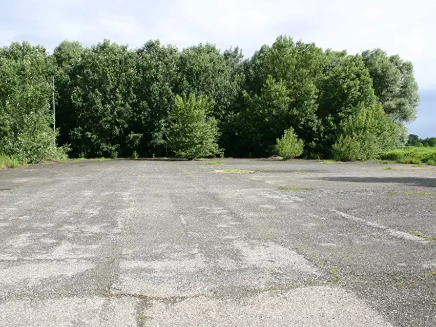 Immagine 3 di Terreno agricolo in vendita  in Via Roncaglie a Roncaro