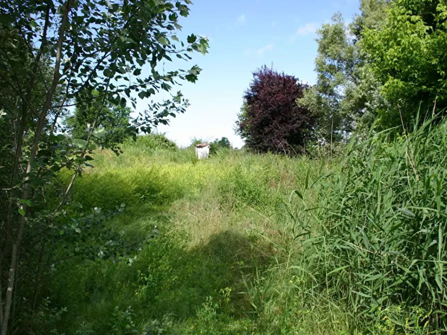 Immagine 5 di Terreno agricolo in vendita  in Via Roncaglie a Roncaro