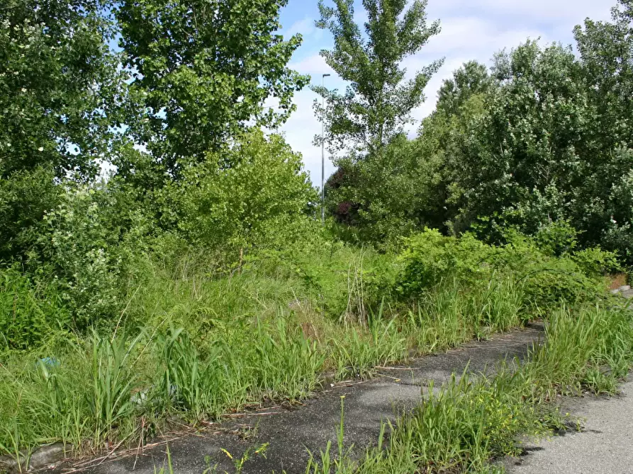Immagine 6 di Terreno agricolo in vendita  in Via Roncaglie a Roncaro