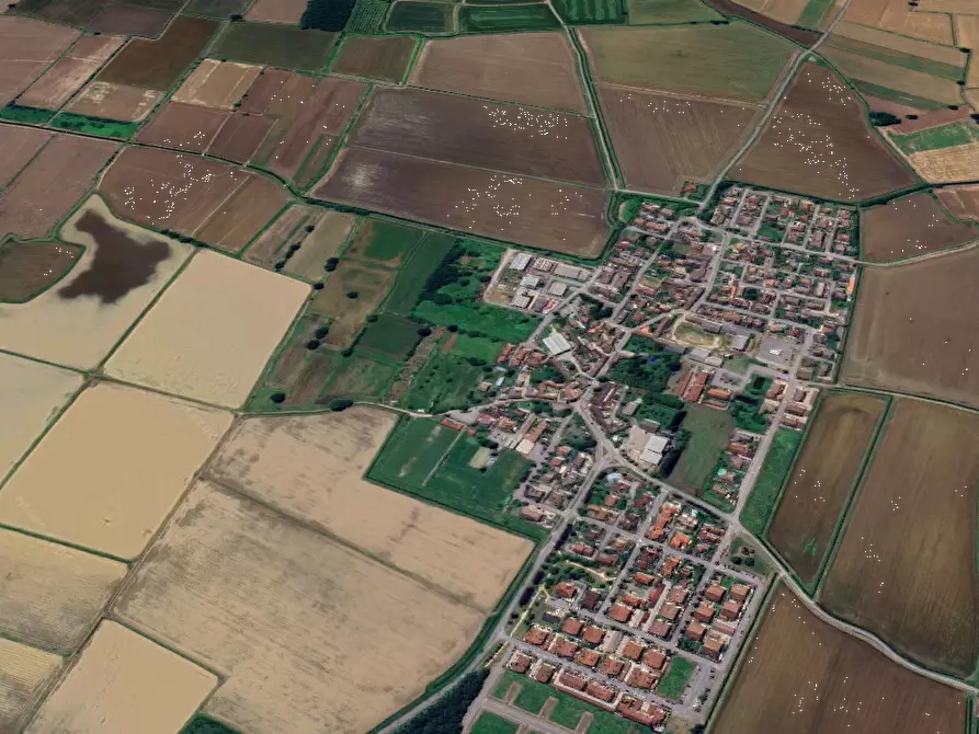 Immagine 11 di Terreno agricolo in vendita  in Via Roncaglie a Roncaro