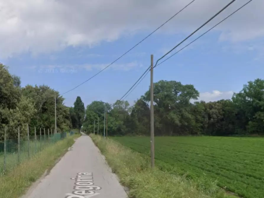 Immagine 10 di Magazzino in vendita  in Via Pegorina a Chioggia