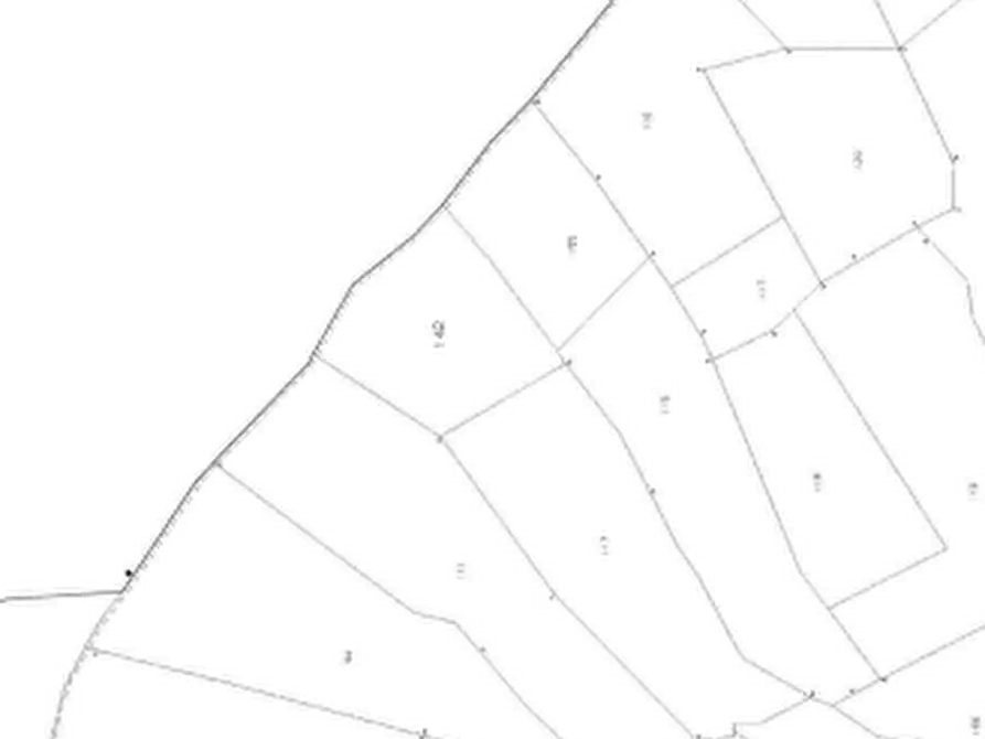 Immagine 4 di Terreno agricolo in vendita  in Località Poggio a Montesegale