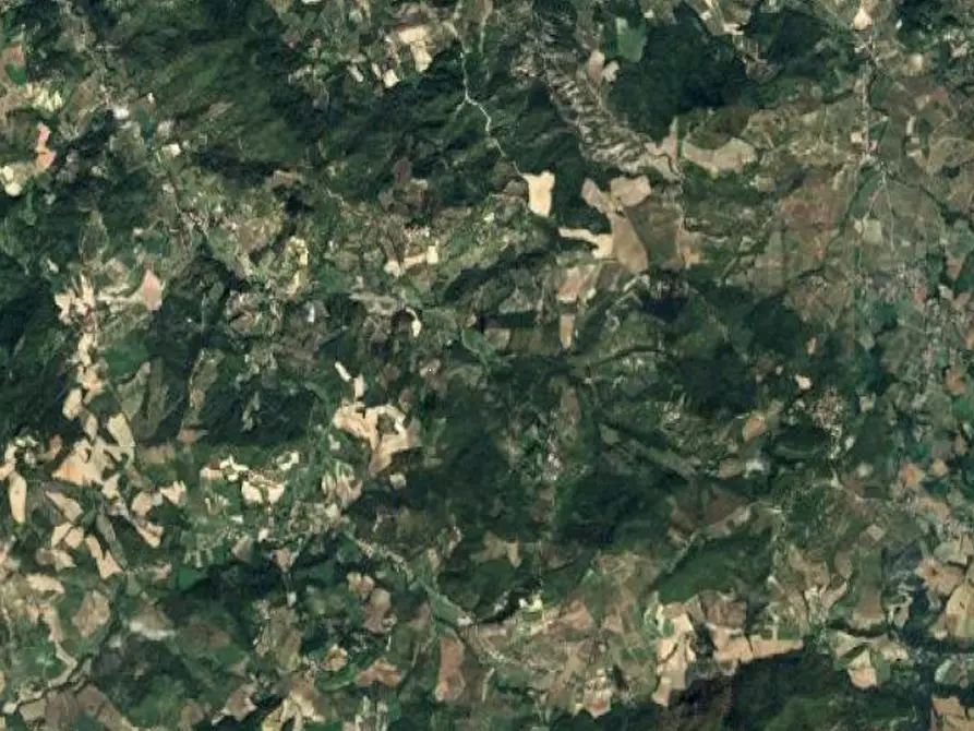 Immagine 3 di Terreno agricolo in vendita  in Località Poggio a Montesegale