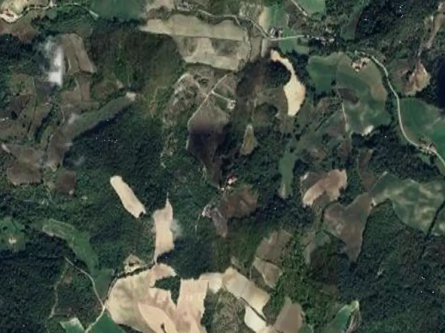 Immagine 2 di Terreno agricolo in vendita  in Località Poggio a Montesegale