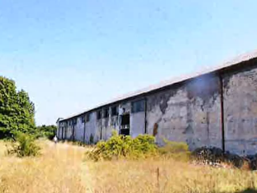 Immagine 4 di Capannone industriale in vendita  in Via Circonvallazione  a Migliaro