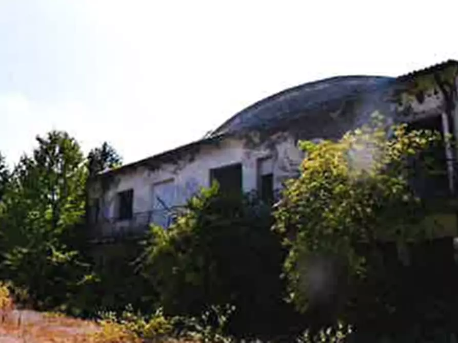 Immagine 3 di Capannone industriale in vendita  in Via Circonvallazione  a Migliaro