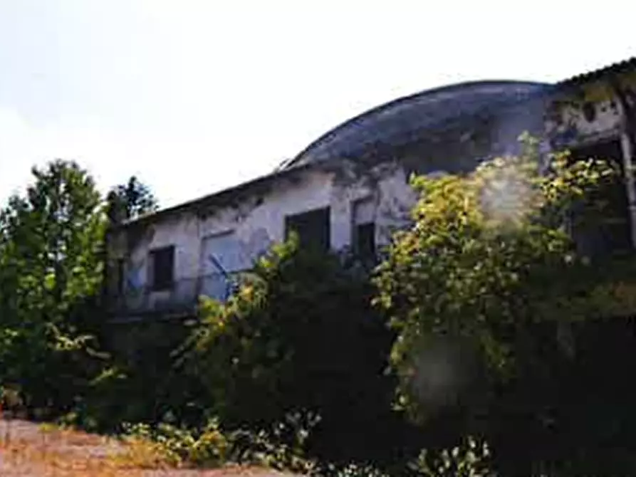 Immagine 5 di Capannone industriale in vendita  in Via Circonvallazione  a Migliaro