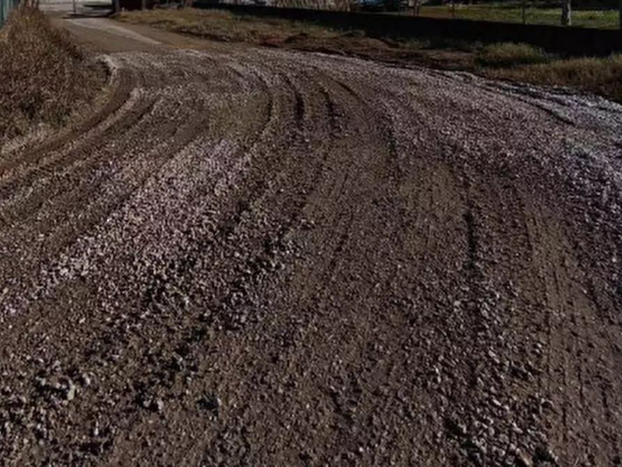 Immagine 2 di Terreno agricolo in vendita  in Località San Giorgio di Livenza a Caorle