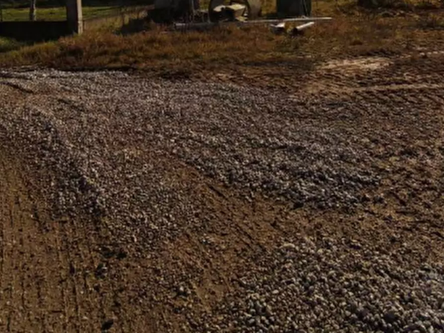 Immagine 4 di Terreno agricolo in vendita  in Località San Giorgio di Livenza a Caorle