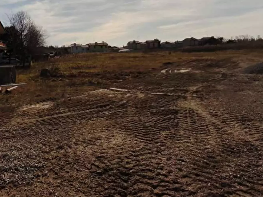 Immagine 5 di Terreno agricolo in vendita  in Località San Giorgio di Livenza a Caorle