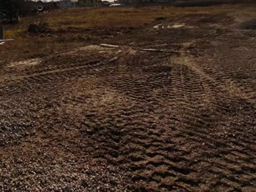 Immagine 7 di Terreno agricolo in vendita  in Località San Giorgio di Livenza a Caorle