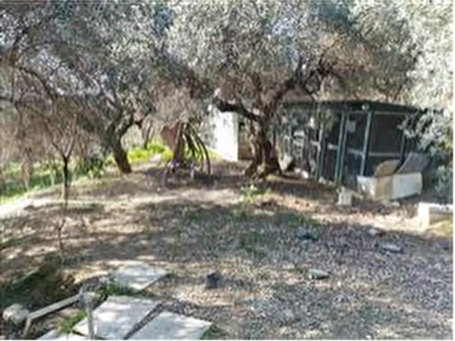 Immagine 21 di Rustico / casale in vendita  in Strada di Fosso Paradiso a Chieti