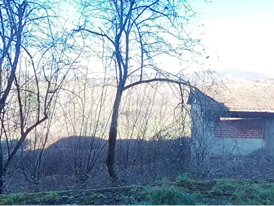 Immagine 12 di Rustico / casale in vendita  in Via Pian di Là a Fivizzano