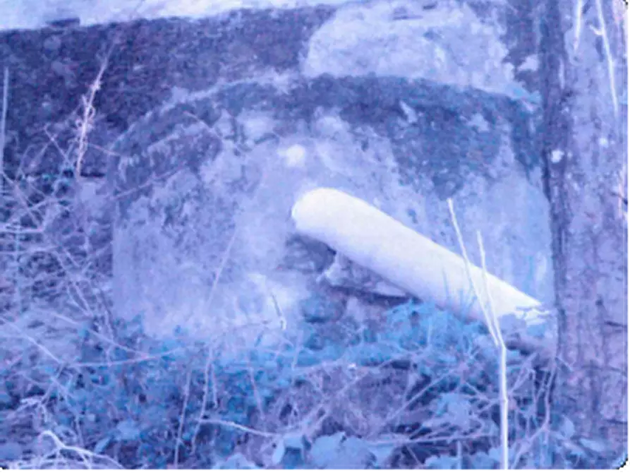 Immagine 13 di Rustico / casale in vendita  in Via Pian di Là a Fivizzano