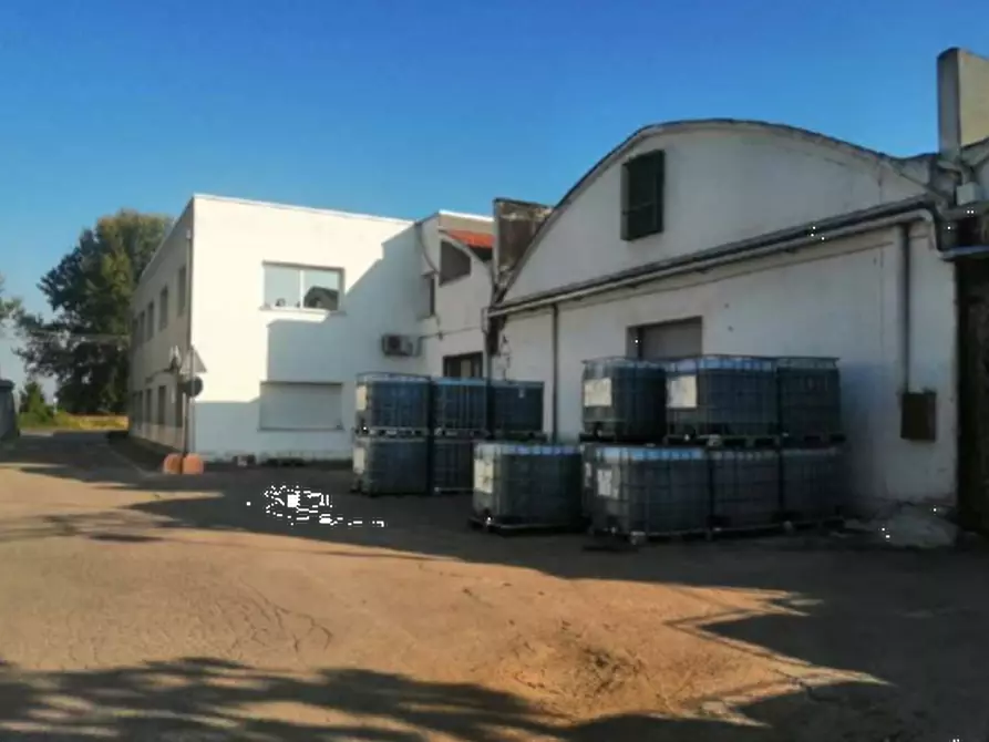Immagine 5 di Capannone industriale in vendita  in Via Granarolo a Faenza
