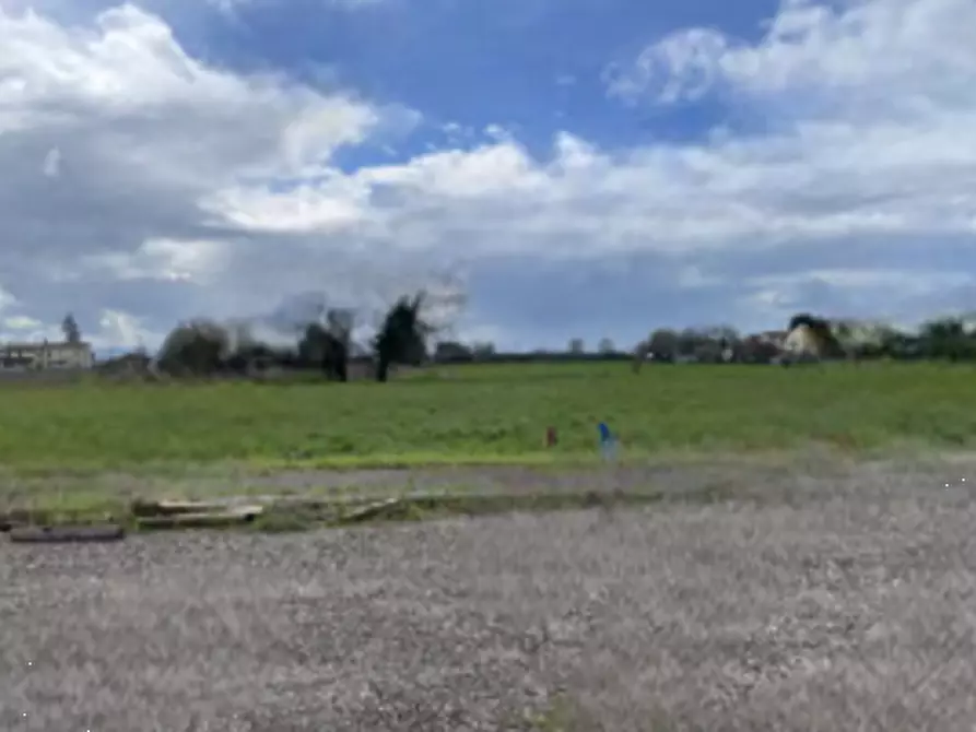 Immagine 3 di Terreno edificabile in vendita  in via Castelletto a Massa Lombarda