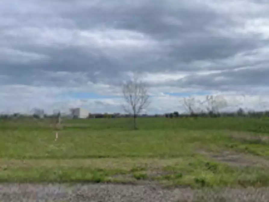 Immagine 4 di Terreno edificabile in vendita  in via Castelletto a Massa Lombarda