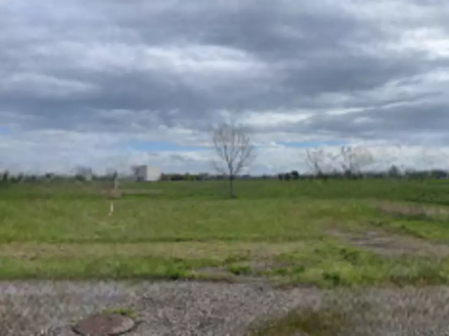 Immagine 5 di Terreno edificabile in vendita  in via Castelletto a Massa Lombarda