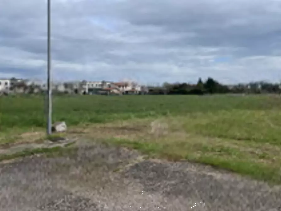 Immagine 6 di Terreno edificabile in vendita  in via Castelletto a Massa Lombarda