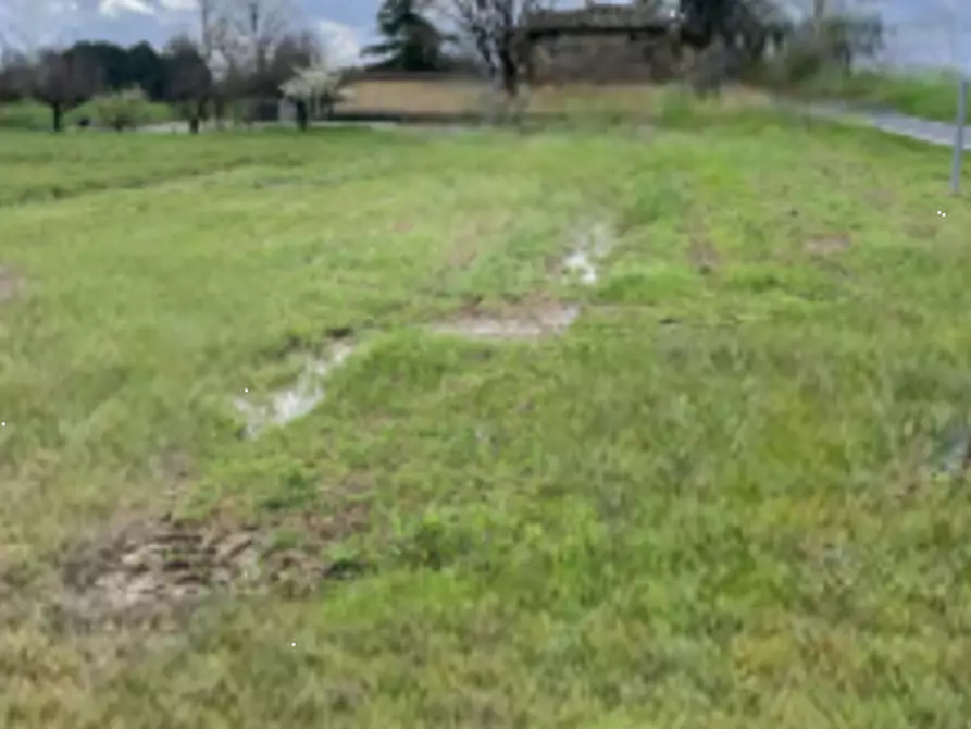 Immagine 7 di Terreno edificabile in vendita  in via Castelletto a Massa Lombarda