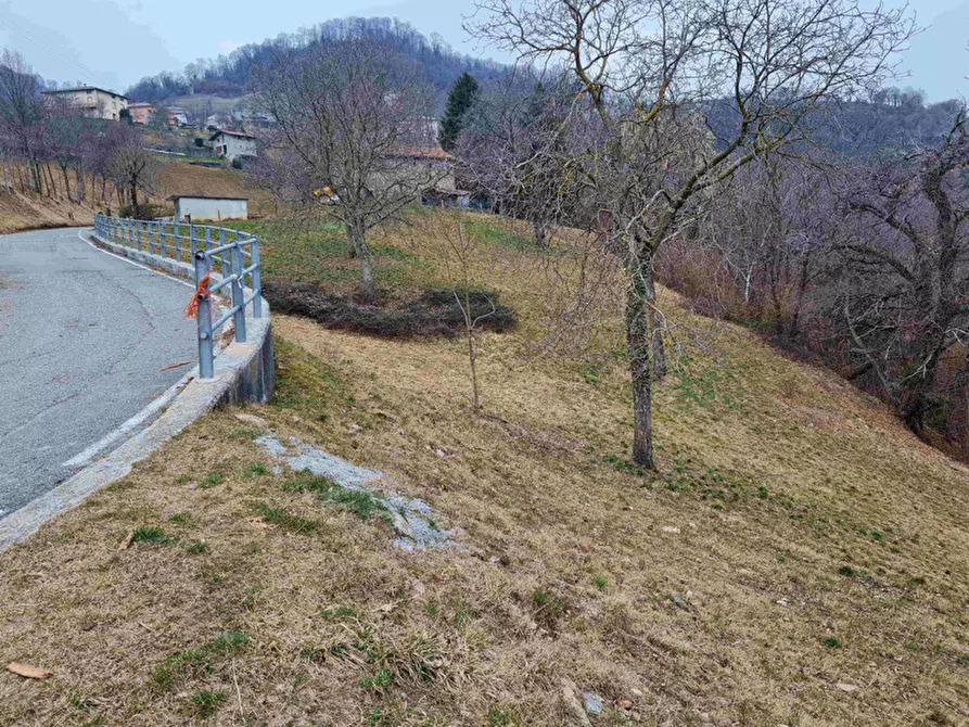 Immagine 5 di Magazzino in vendita  in via Dante Alighieri a Blello