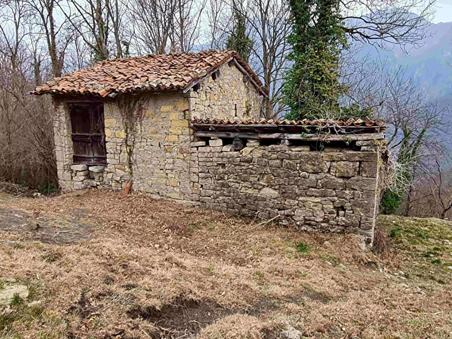 Immagine 7 di Magazzino in vendita  in via Dante Alighieri a Blello