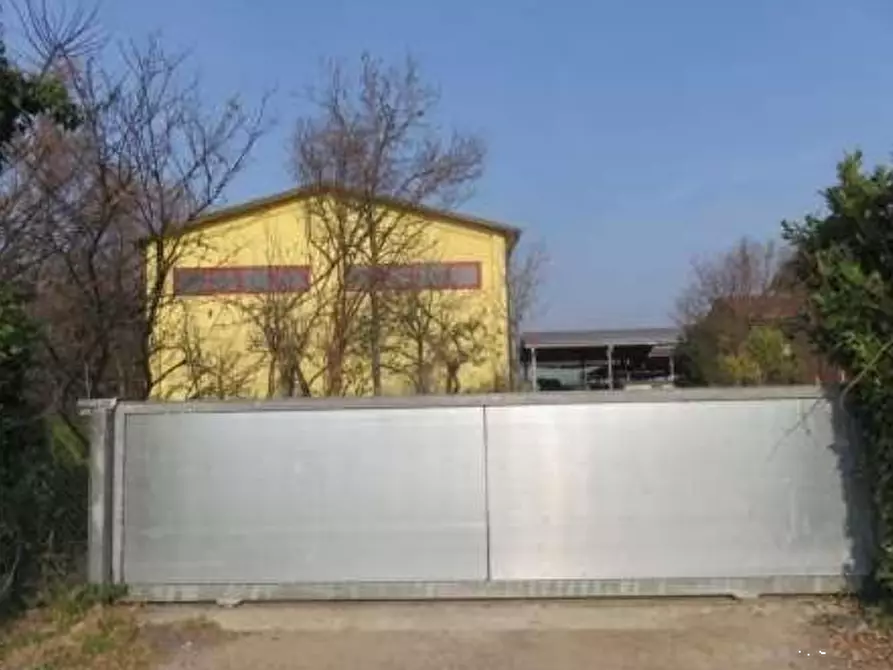 Immagine 2 di Azienda agricola in vendita  in Via Malfattini a Loreggia
