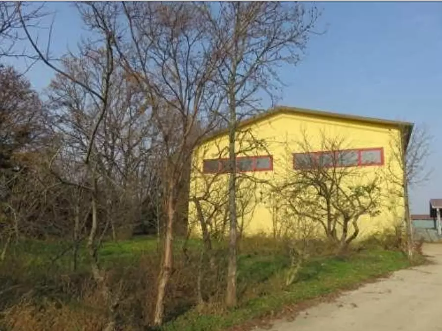 Immagine 3 di Azienda agricola in vendita  in Via Malfattini a Loreggia