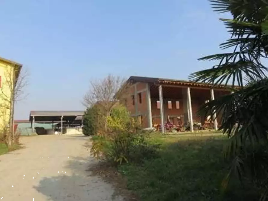 Immagine 4 di Azienda agricola in vendita  in Via Malfattini a Loreggia